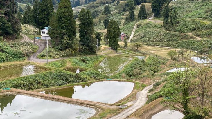 Harvest season in Niigata.