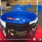 67th Nagaoka koi show on 25 October 2020