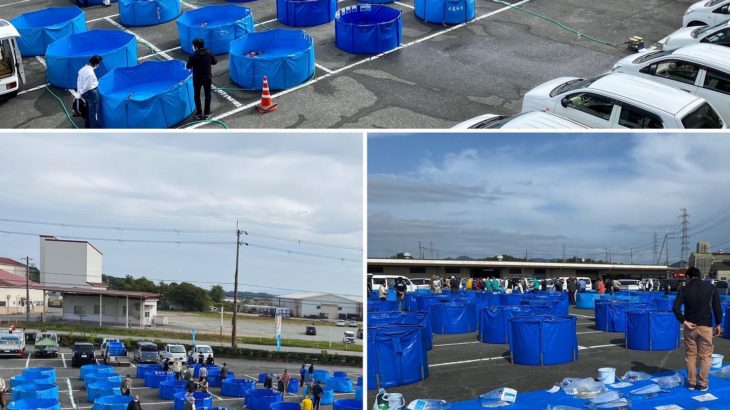 ZNA Hyogo Branch Koi Show  1 November 2020.