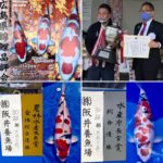 57th Horoshima koi show Nogyosai in Hiroshima