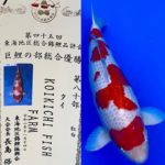 November 14, 2020 The 45th Tokai District Koi Show