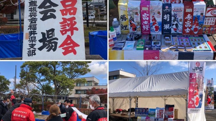 2020年11月21日～22日 第55回大会　福井県総合錦鯉品評会