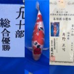 21th Hokuriku district koi show