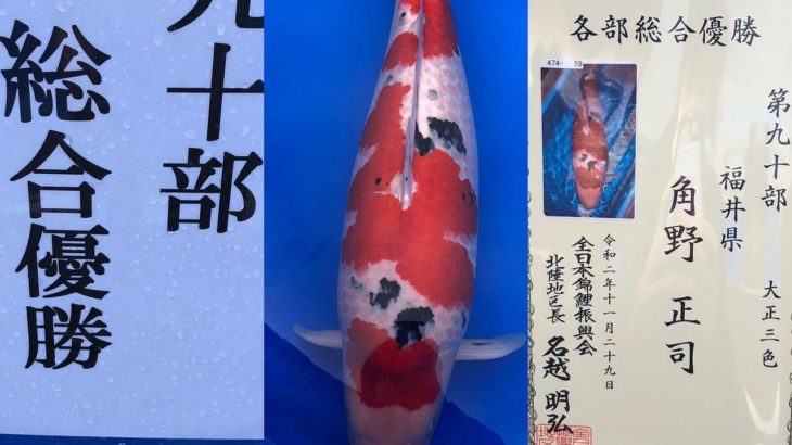 21th Hokuriku district koi show