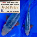 The 8th International Junior Koi show 2021 on 24-25 April