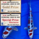 The 8th International Junior Koi show 2021 on 24-25 April