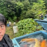 Tedori Fish Land Harvest