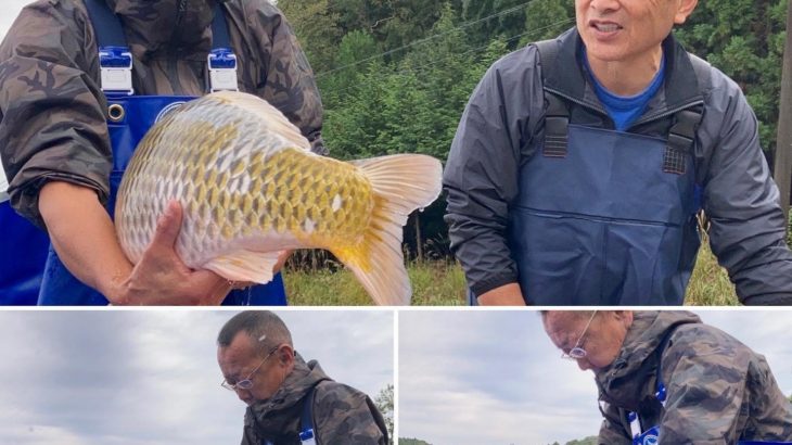 2021年10月27日 大山養魚場様の3歳池上げ