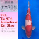 57thZNA International Koi Show 2021