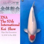 57thZNA International Koi Show 2021