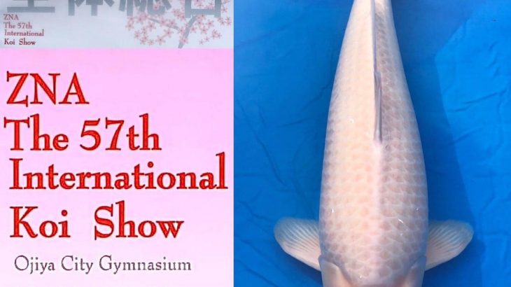 57thZNA International Koi Show 2021