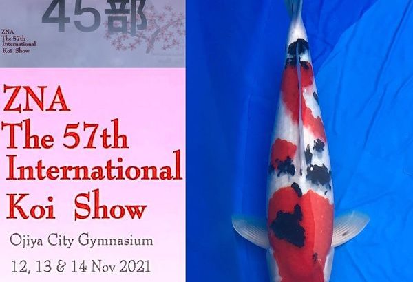 57thZNA International Koi Show 2021