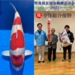 47th Shinkokai Kansai district koi Show