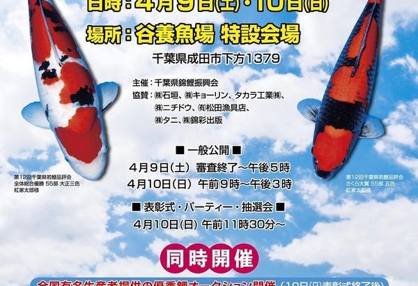 2022年4月9日ー10日 第13回千葉県若鯉品評会