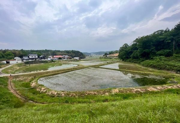 Oyama koi farm in Hiroshima