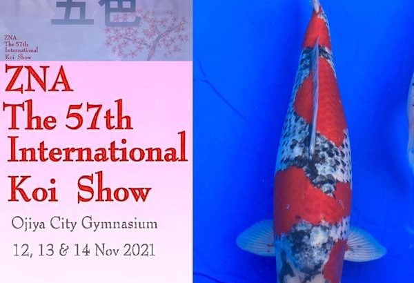 ZNA The 57th International  Koi Show 2021