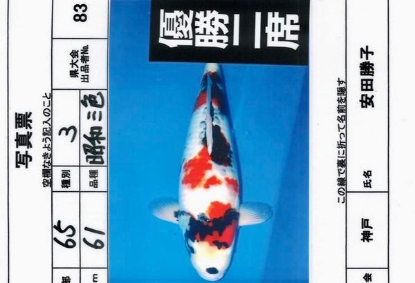 ZNA The 57th International Koi Show 2021