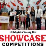 1st MyKoiClub Young Koi Show 2022