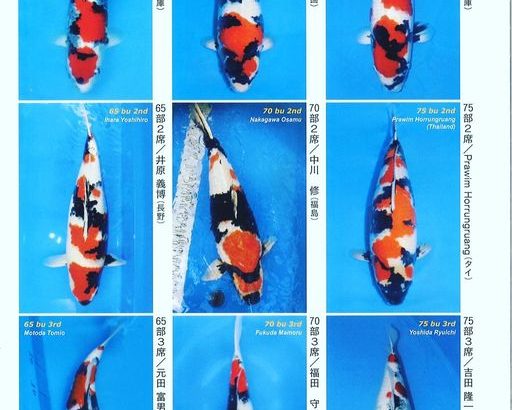 ZNA The 57th International Koi Show 2021