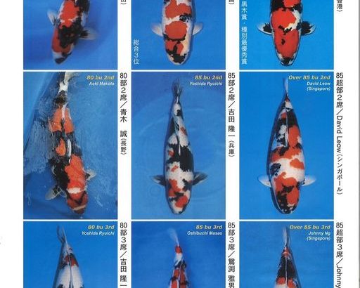 ZNA The 57th International Koi Show 2021