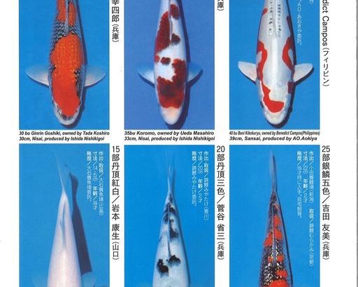 ZNA The 57th International Koi Show 2021