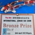 9th International Junior koi Show 2022