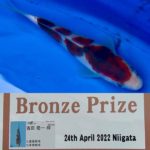 9th International Junior koi Show 2022