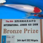 9th International Junior koi Show 2022