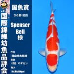 The 11th International Junior Koi show 2024