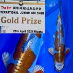 8th international junior koi show 2021 on 24April