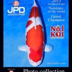 2015 All Japan Koi Show Grand Champion