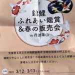 2022年3月12日 やがて様の錦鯉ふれあい観賞&春の販売会in丹波篠山