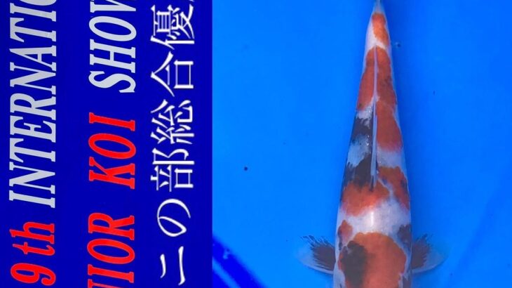 2022年4月23-24日 第9回国際幼魚品評会