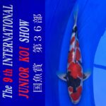 9th INTERNATIONAL JUNIOR KOI SHOW