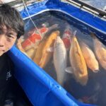 Taniguci Koi Farm harvest visit