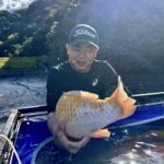 Golden corn harvest at Taniguchi koi farm .