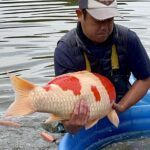 2022年10月27日 Beppu Fish Farm harvert visit.