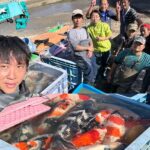 Taiyo Fish Land main mud pond harvest visit in Mie Prefecture