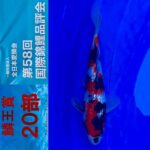 ZNA 58th International Koi Show