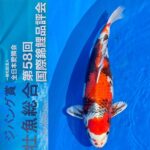 ZNA 58th International Koi Show