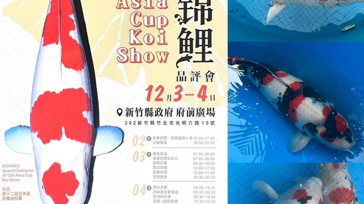 13th Asia Cup Koi Show 3-4 December 2022