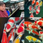 Miyoshi Fish Farm visit