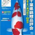 第51回千葉県錦鯉品評会