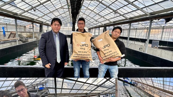 Maruyasu Koi Farm visit in Kyoto prefecture.