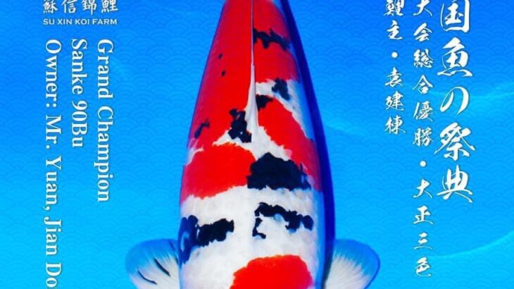 53th All Japan Koi Show 2023