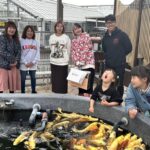 Narita koi farms Japan visit .