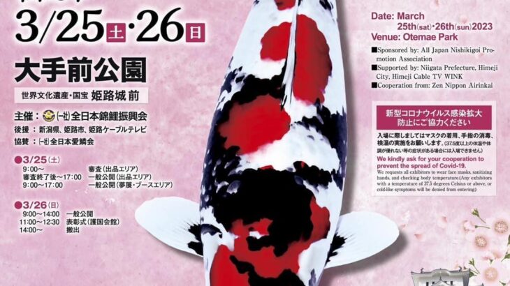 2023年3月25日 THE 39th NISHIKIGOI ALL JAPAN YOUNG KOI SHOW