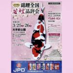 Preparation of 39th All Japan Young koi show today