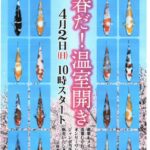 2023年4月2日 一品家　イベント [春だ！温室開き]