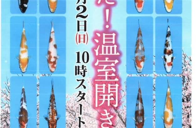 2023年4月2日 一品家　イベント [春だ！温室開き]